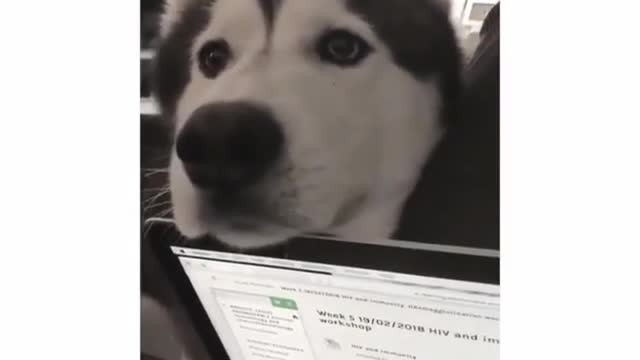 How can I look good in a notebook?