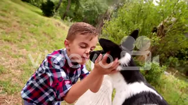 Little boy hugging and stroking his puppy dog in park