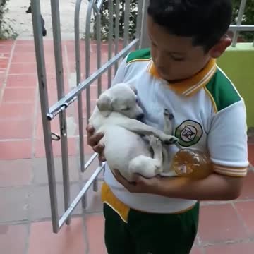 El tierno video que está dando vueltas en redes sociales