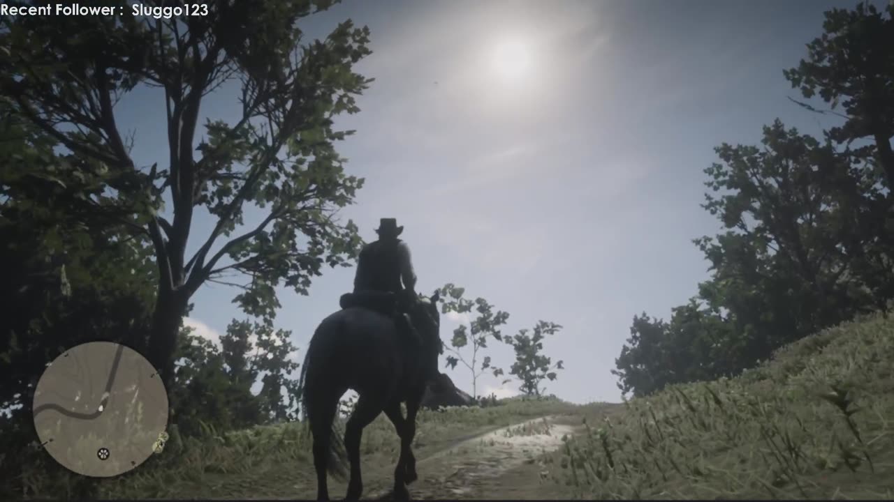 Red Dead Redemption 2 (son's Playthrough)