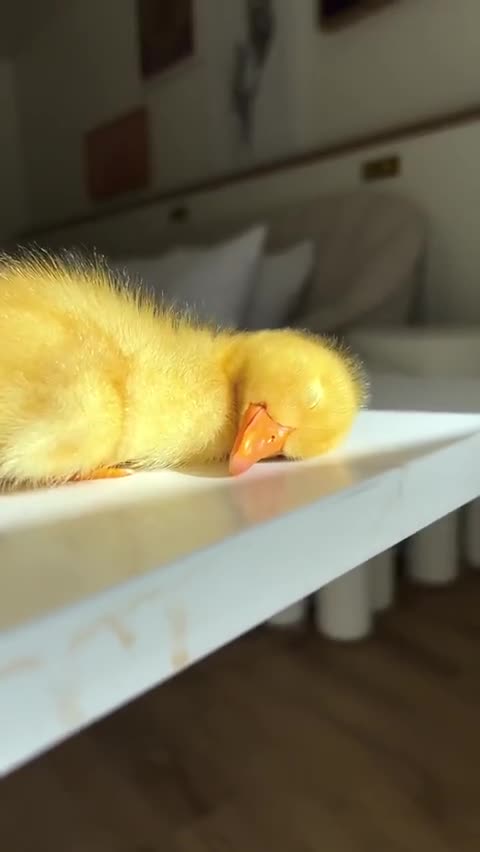 My Mood Today 😴 ❣❣❣❣❣❣❣❣❣❣❣