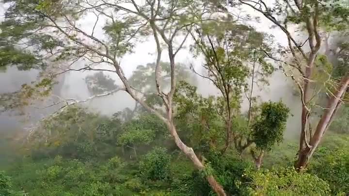 Drone Footage - Bazartete, Timor-Leste