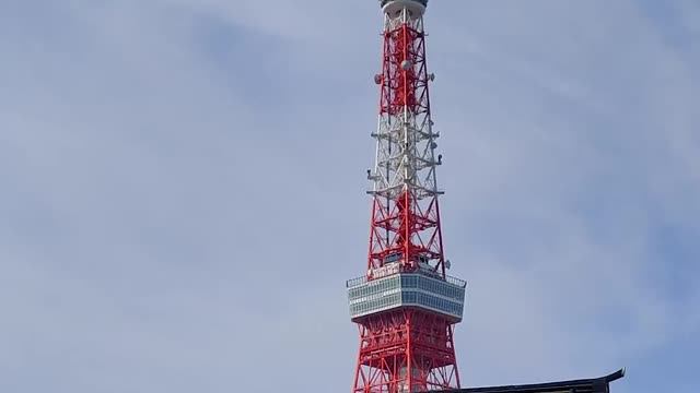 Japan 2021 Vlog: Trip to Tokyo Tower