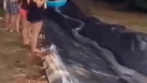 🤣🤣😂😂🤣