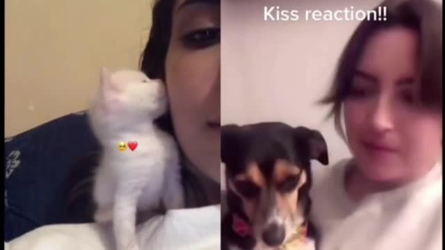 Give your pet a kiss and see what happens