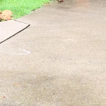 What is your favorite saying? “Look to the birds.”