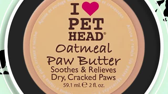 The Best Dog Paw Creams That Repair Your Pet's Feet