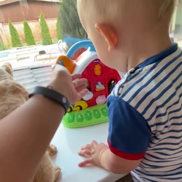 Boy Playing with cute cat 🐱 at doll house and interfere by dog🐕