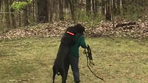 Dog vs teen