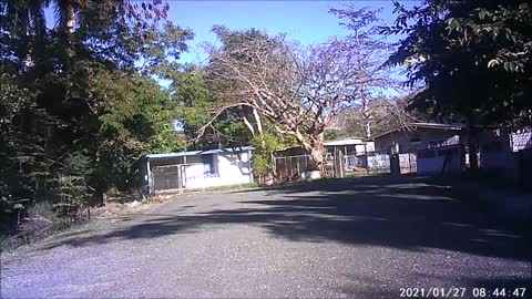 Paseo en la motora en playa Area oeste de Puerto Rico