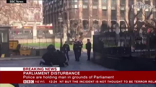 Armed police detain man after incident at parliament