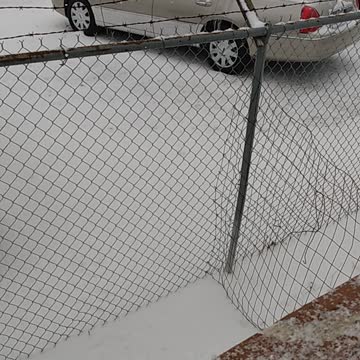 February Winter Snow ❄️