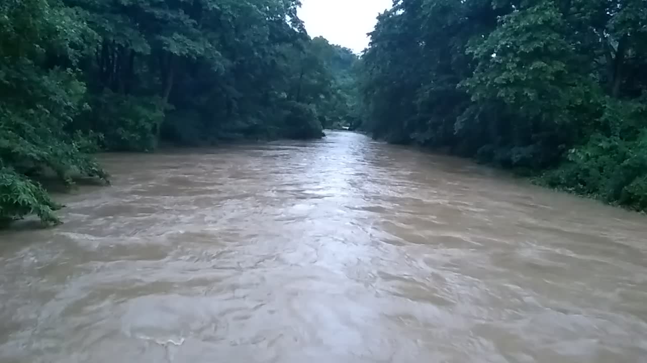 There are many buns floating in the river