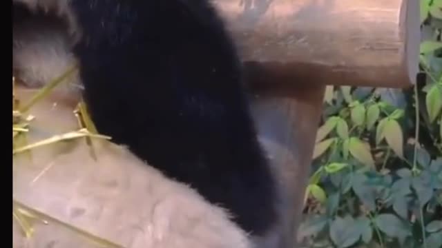 Daddy, don't touch me when I eat delicious food, OK