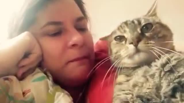 Talking cat says NO! to kisses on the head