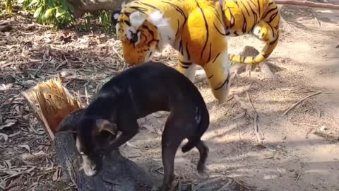 TRY NOT TO LAUGH! Fake Tiger Prank Dog Try To Stop Laugh Challenge Pranks