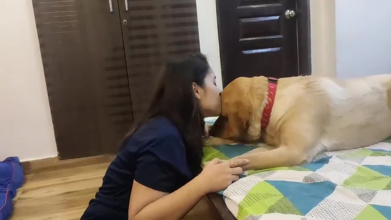 Dog love girl