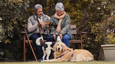 4k video footage of a happy senior couple playing with their pets while