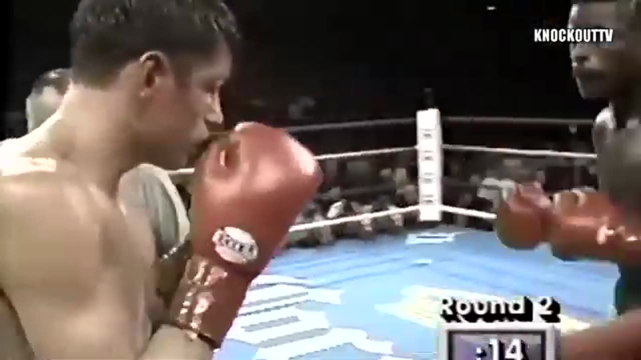 Best boxing knockouts