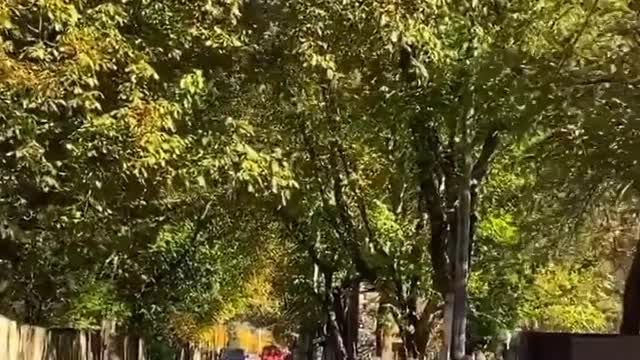 Beautiful Nature