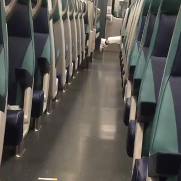 White shirt white shoes face down