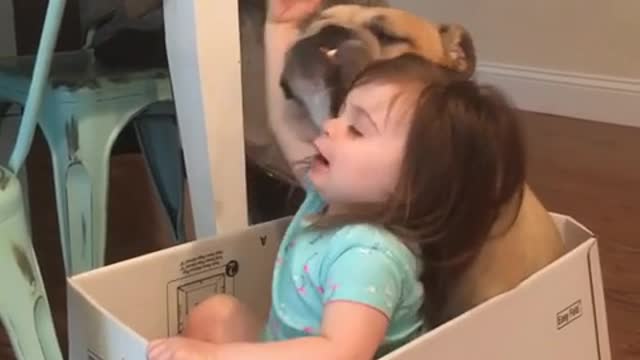 Pequeña cantante hace una adorable serenata a su Bulldog Inglés