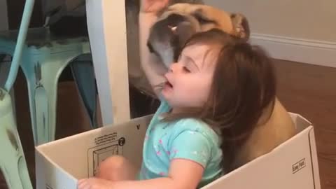 Pequeña cantante hace una adorable serenata a su Bulldog Inglés