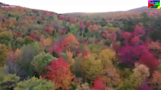 Relaxing Sleep Music | Deep Sleeping Music | Meditation Music | Relaxing Music | Healing Music