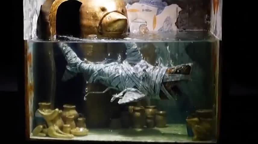 Should sharks like 'undersea mummified sharks' be thousands of years old?