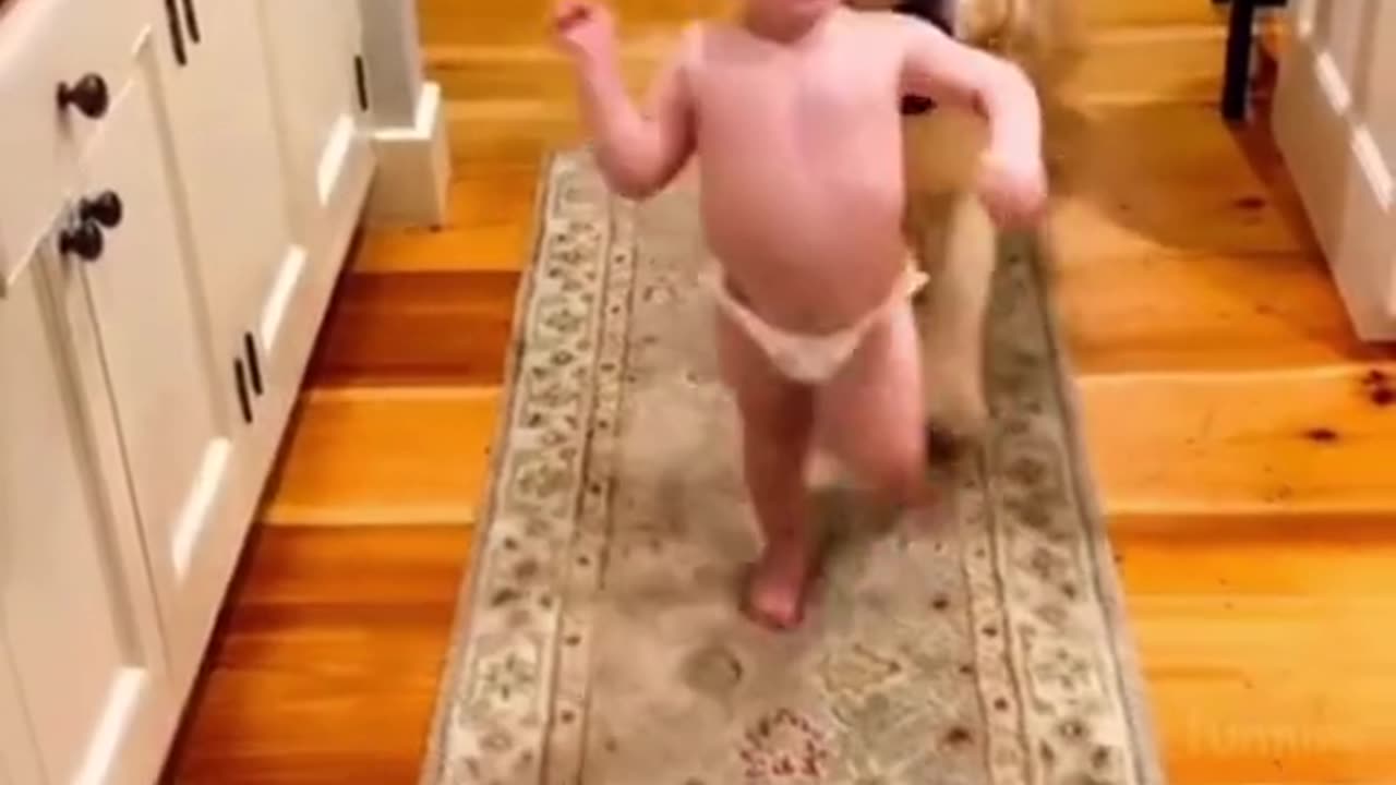 FUNNY VIDEO PART 1