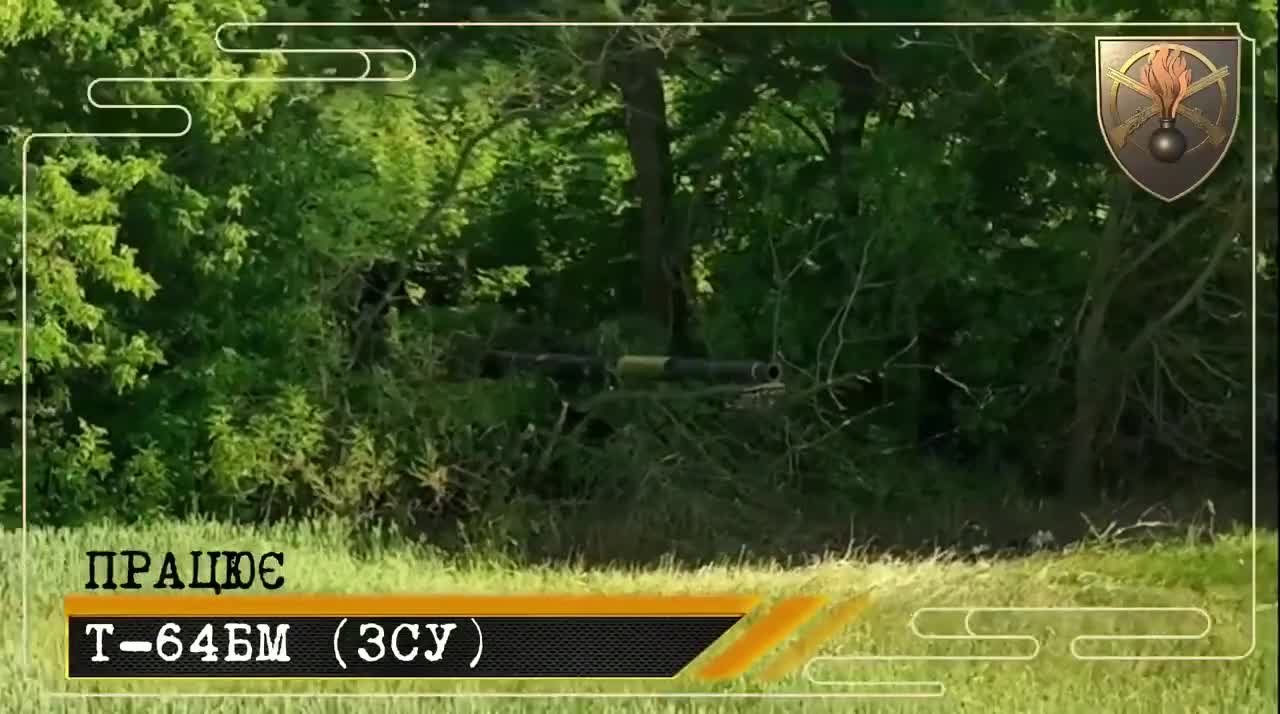 There is 22 separate motorized infantry battalion
