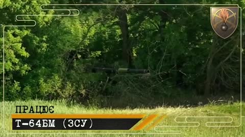 There is 22 separate motorized infantry battalion