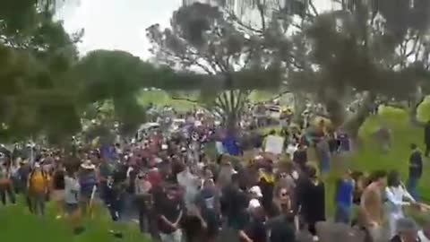 Freedom protests in New Zealand 🇳🇿1