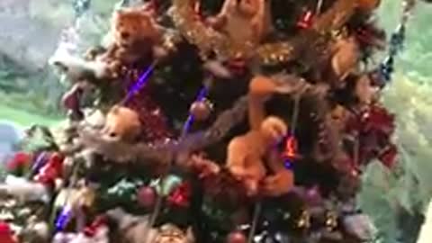 Extreme surprise Christmas tree