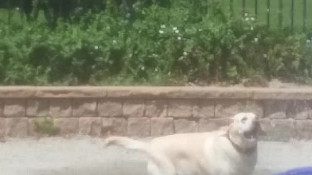 Sunny cooling off