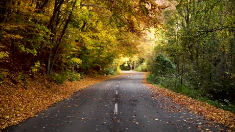 Landscape ROAD VIDEO