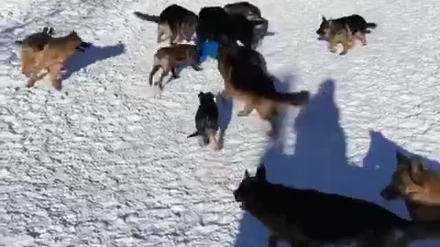 We all went for a walk