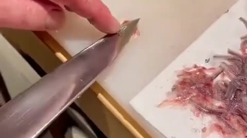 This is a beautiful and charming water-dwelling species