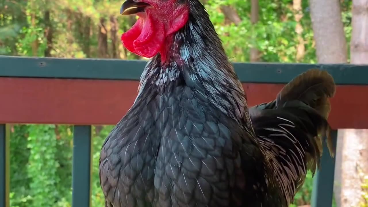When you forgot to charge