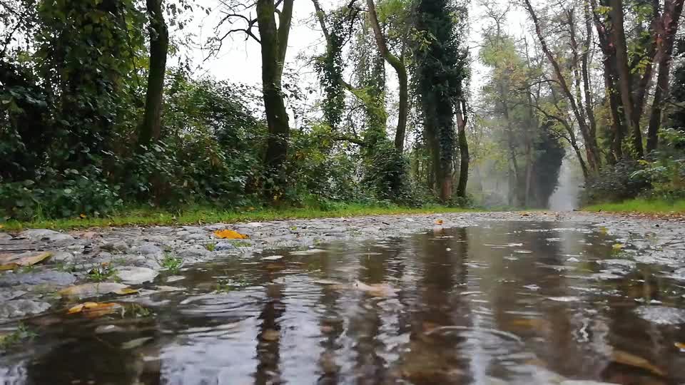 Rain melody with nature