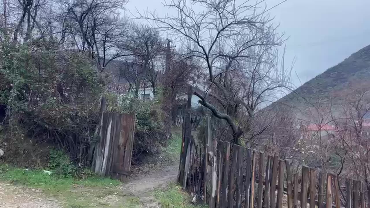 Doris Kopaci, u dhunua në Mal të Zi, i riu mbërrin në banesë, i traumatizuar nga ngjarja