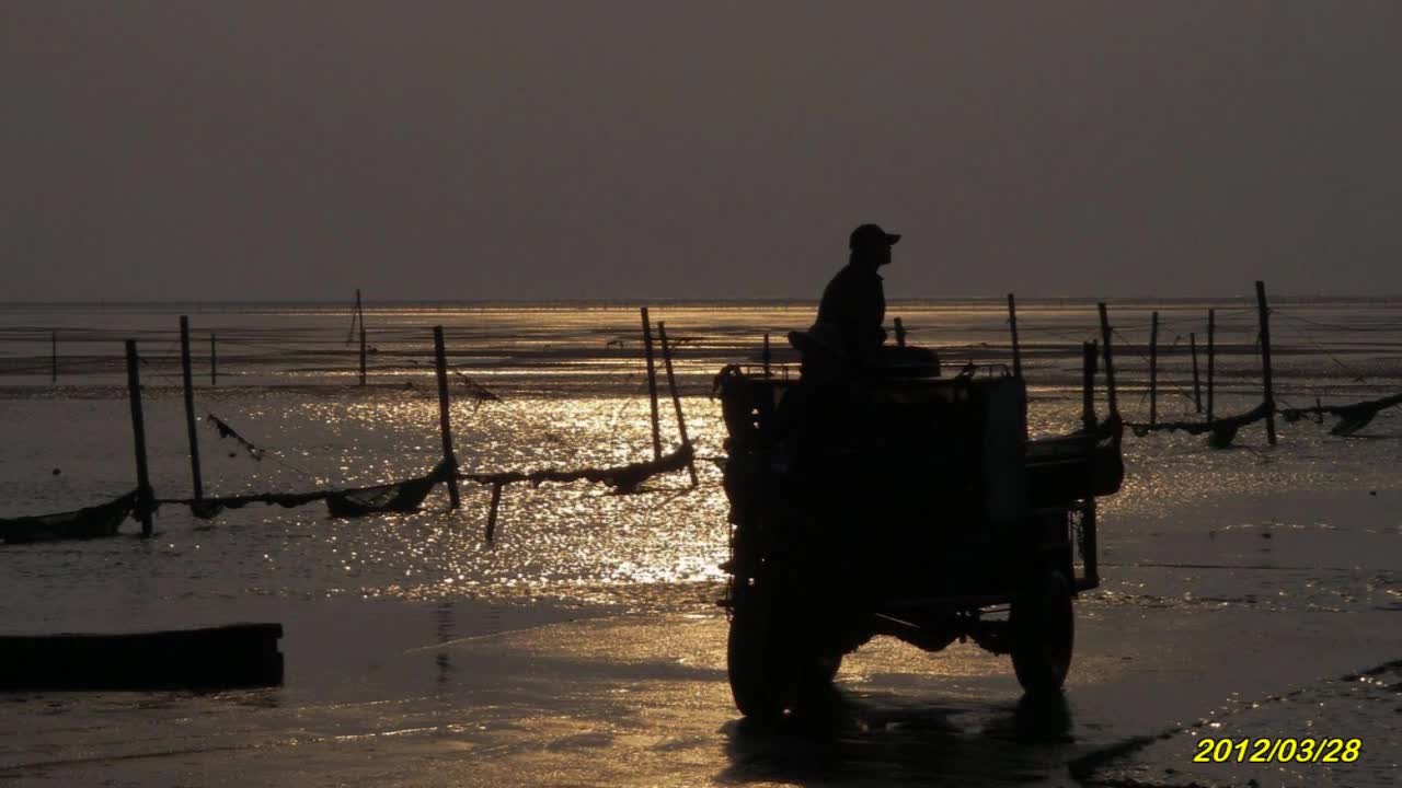 2021陳淑樺-夕陽伴我歸