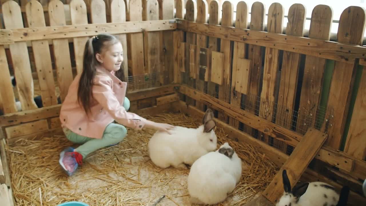 Little girl in a petting zoo in the aviary with rabbits