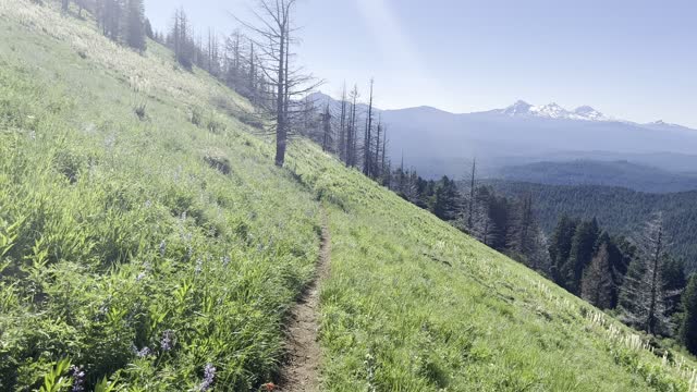 Absolutely GORGEOUS Crescent Mountain with Wildflowers – Willamette National Forest – 4K