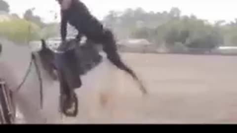 Like a boss compilation. Top respect moments