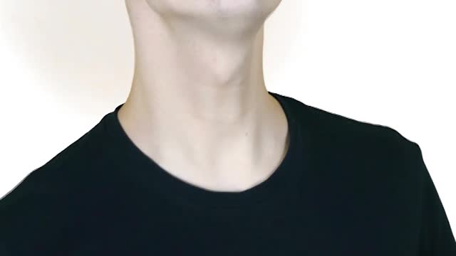 Adivinhe o animal em inglês #2