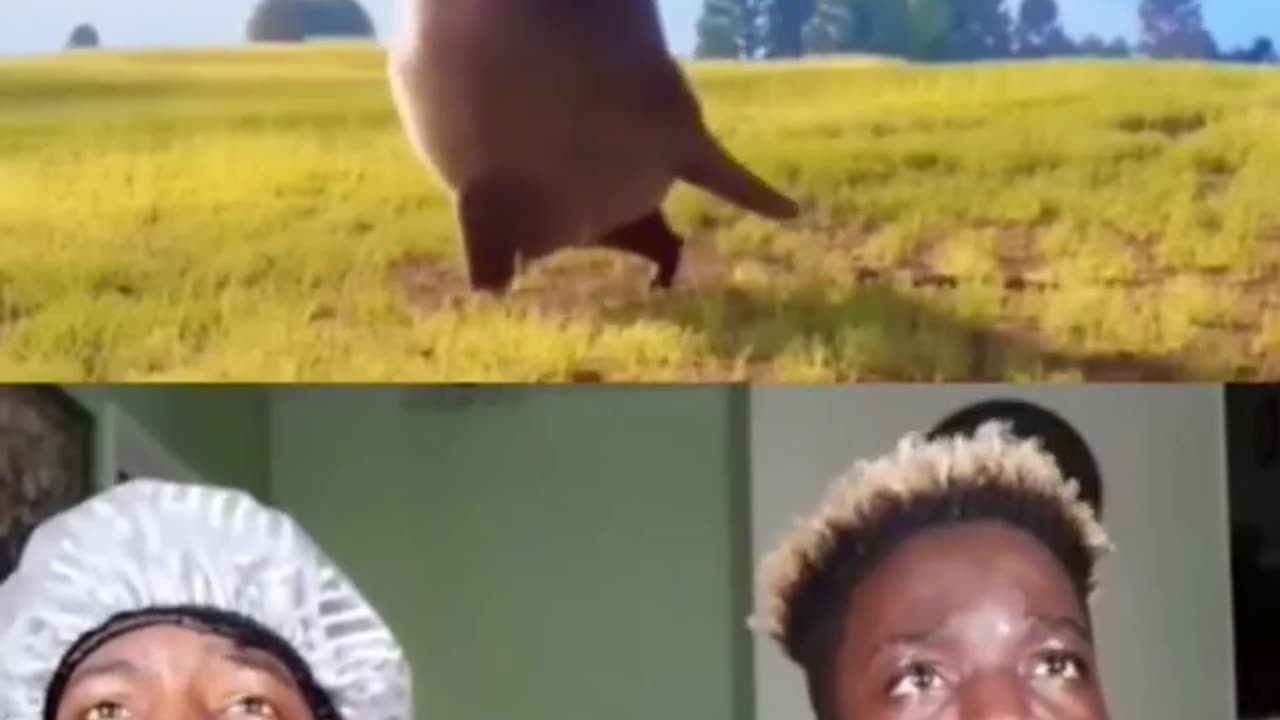if you laugh 69 times, you dead 😂😂