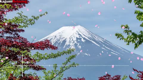 Relaxing Music | Sleeping, Meditation, Stress Relief | [1715] ⭐️