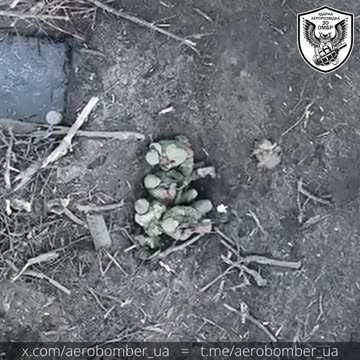 👻 Who needs legs when you have undying love for the motherland?