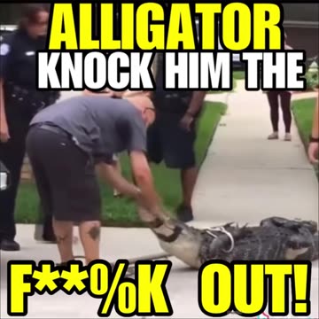NIMH Ep #777 Alligator knock him the F%%# OUT!